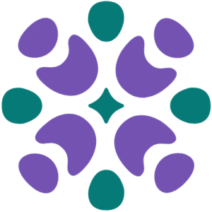 SAAF Icon
